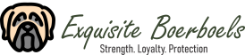 Exquisite Boerboels